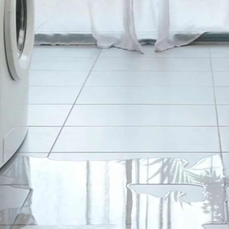 Appliance Leak Cleanup in Anza, CA
